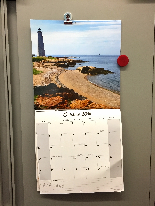 office calendar (sonya kovacic)