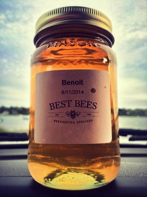 best bees (noah-wilson rich)