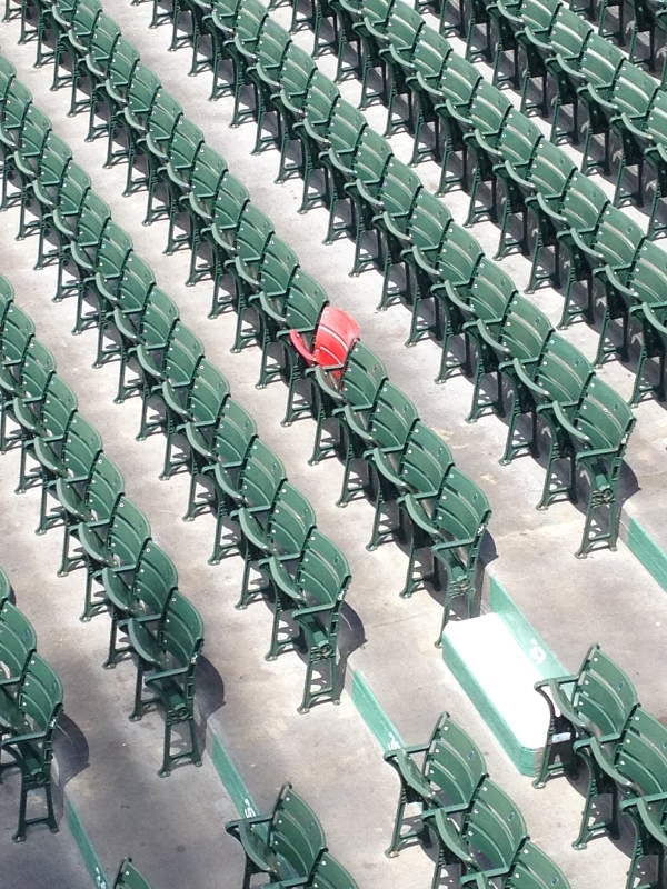 fenway park (steve joyce)*