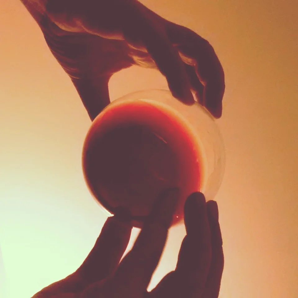 wine, somerville (sonya kovacic)