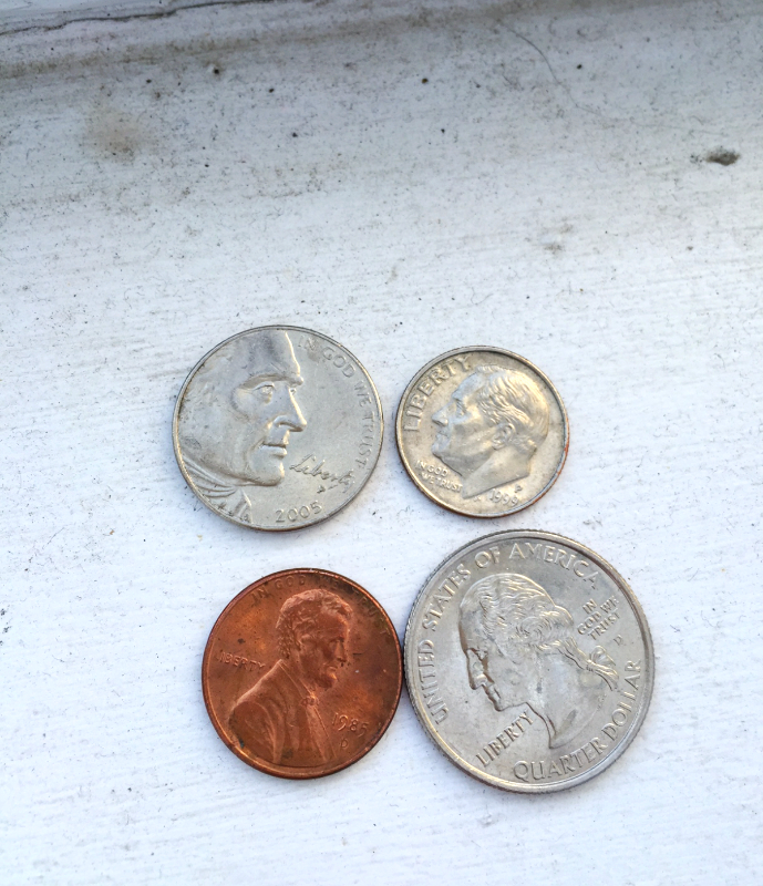 loose change (sonya kovacic)