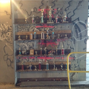trophies under the longfellow bridge (laura davis)