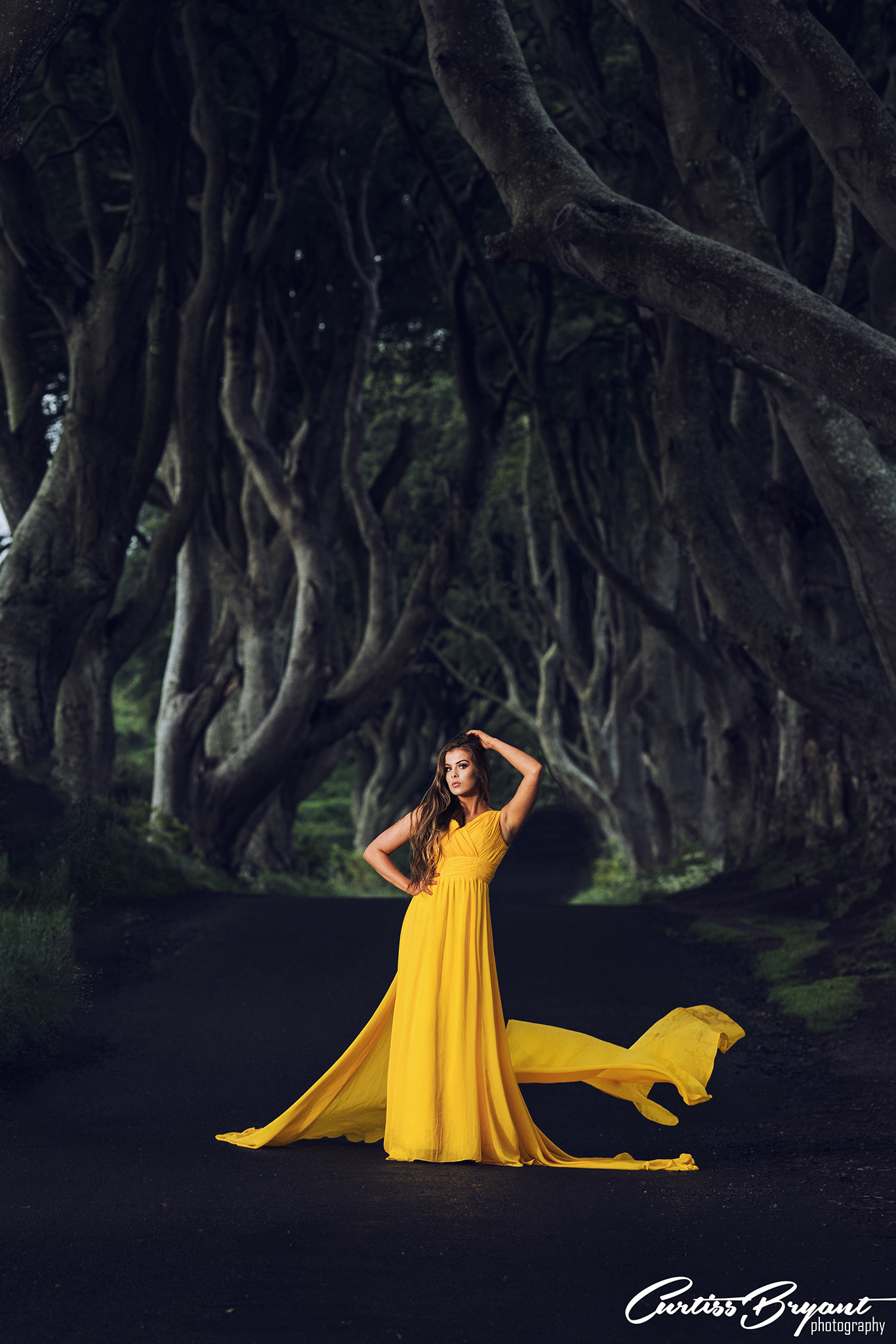 dark hedges portraits