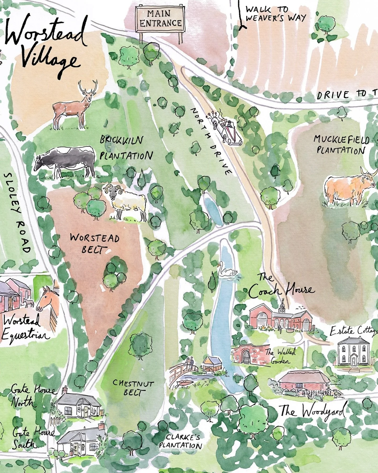 An illustrated map of the Worstead Estate that I have recently completed. I was commissioned to produce this large and detailed hand drawn map for the estate and wedding venue to showcase all that they offer. Really enjoyed doing this one, so much de