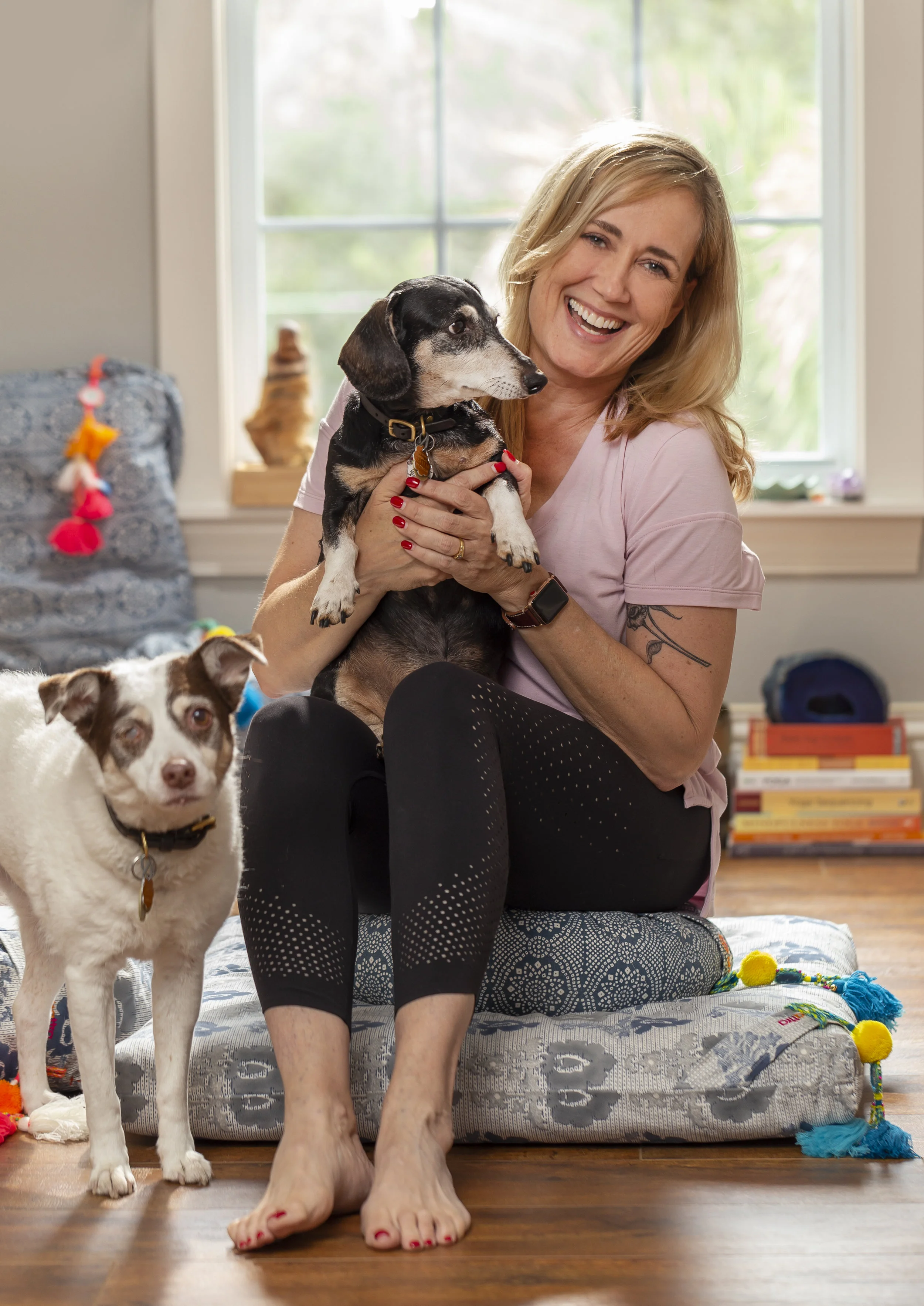 Stacy DiGregorio Bean Lily Dogs Meditation Teacher.jpg