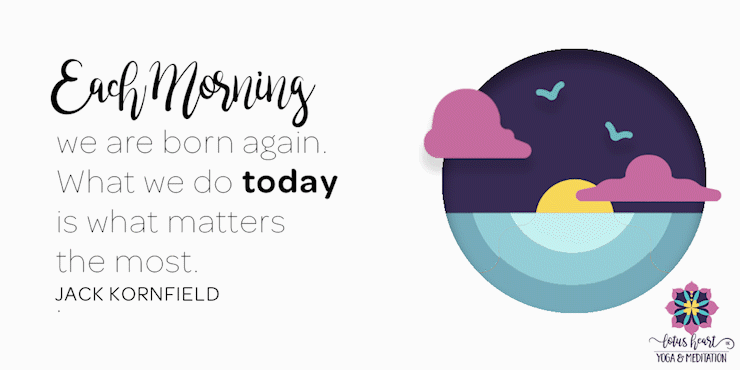 Jack Kornfield Quote Mindfulness Meditation.gif