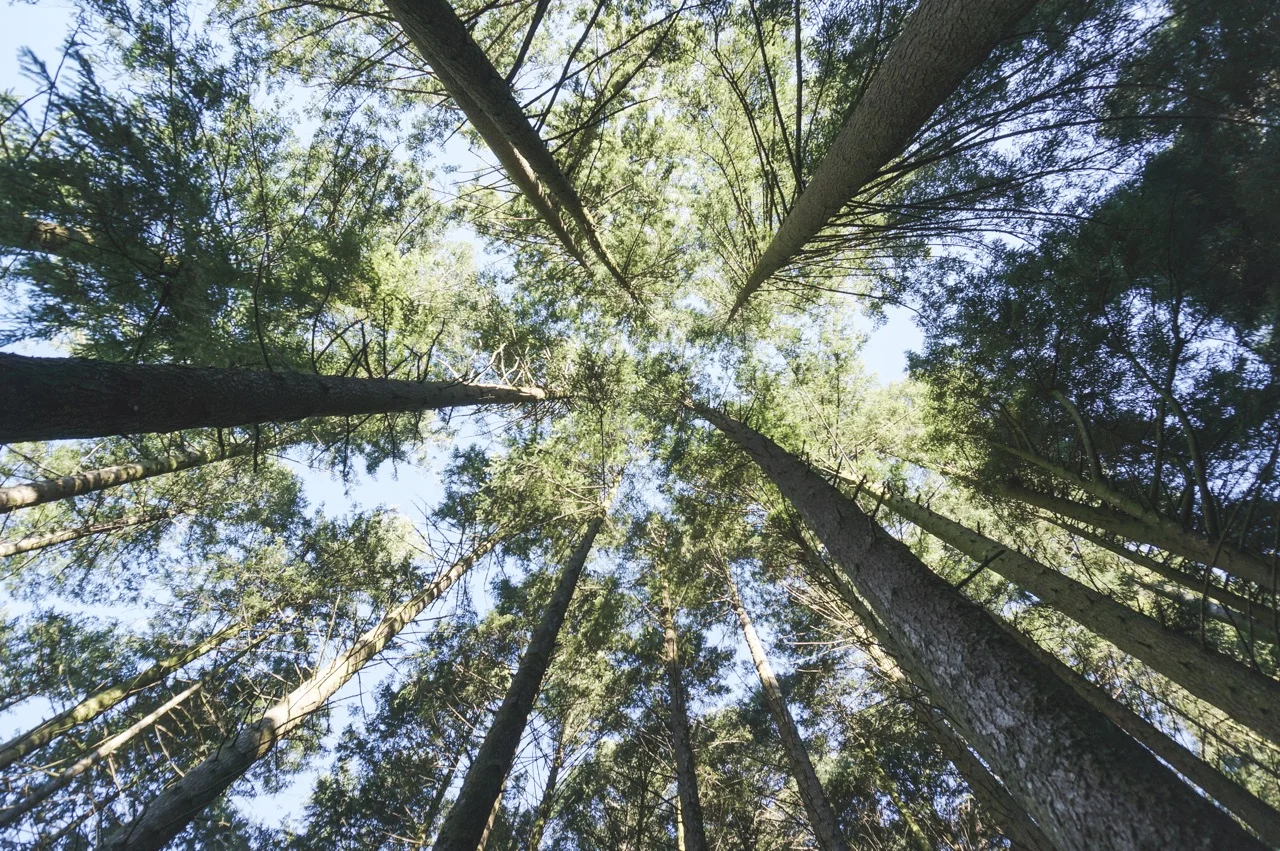 Gerês National Park eco tour