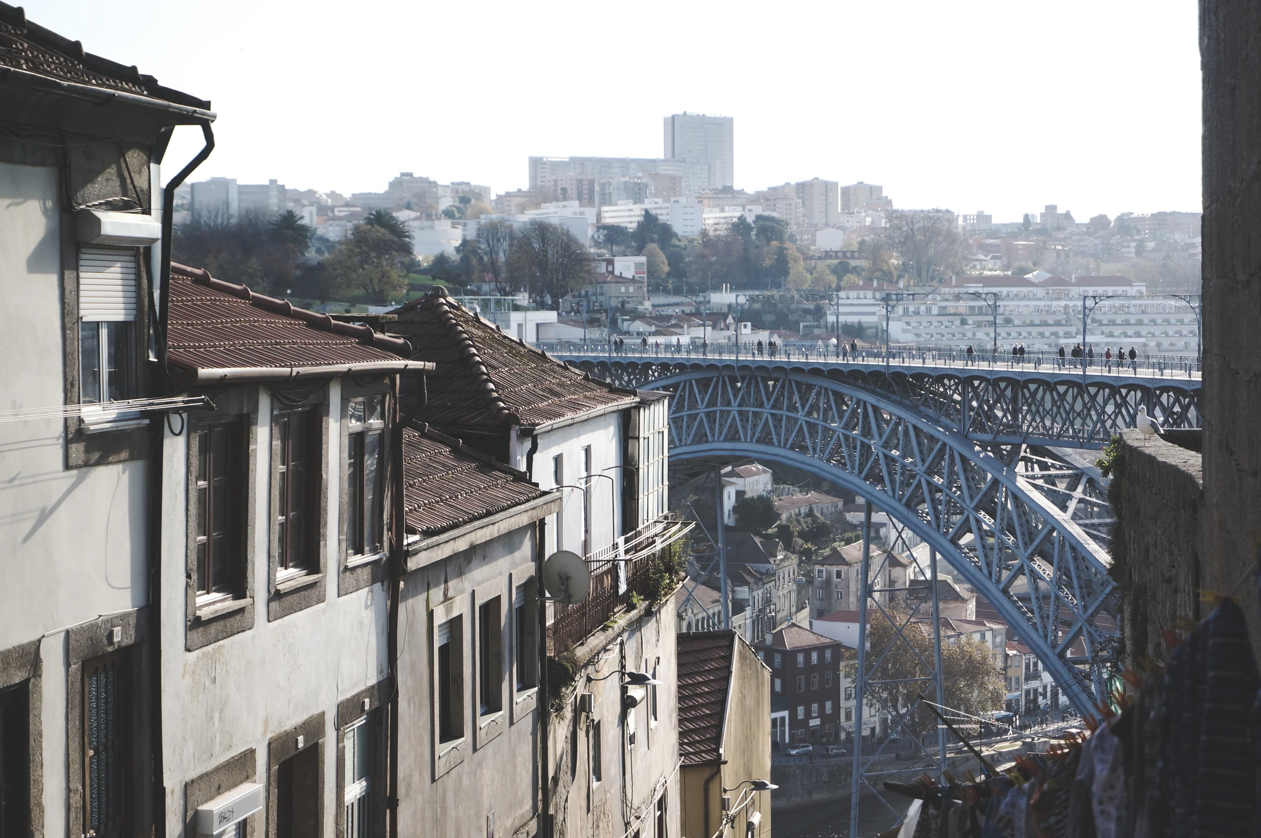 Porto city tour