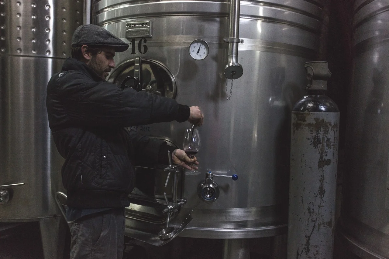 Douro Valley wine tour