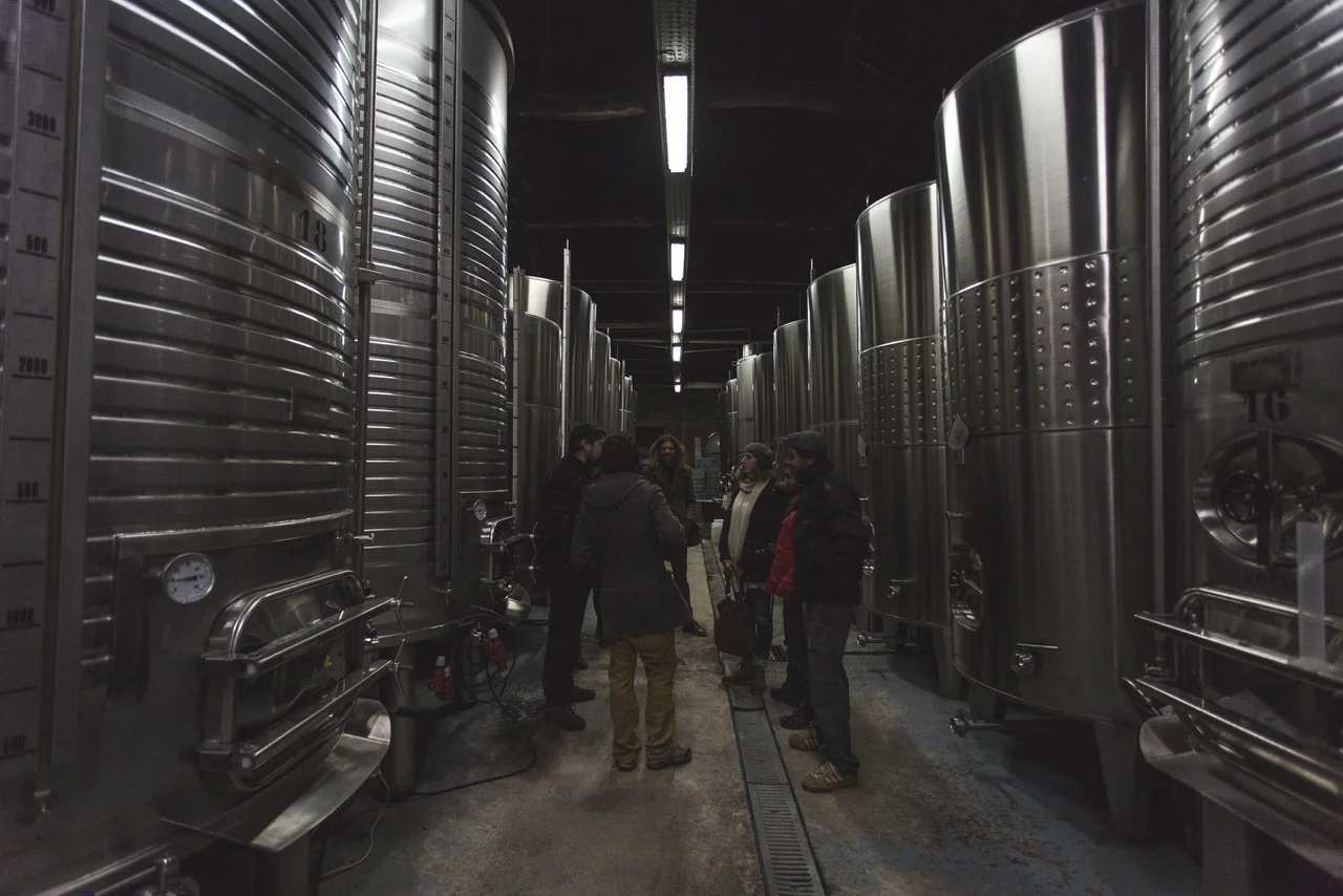 Douro Valley wine tour