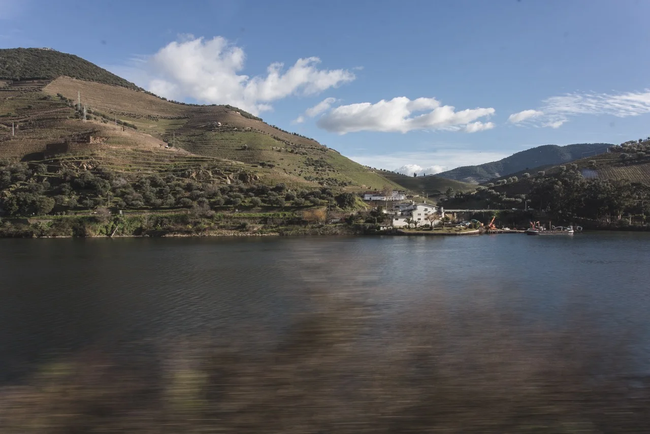 Douro Valley wine tour