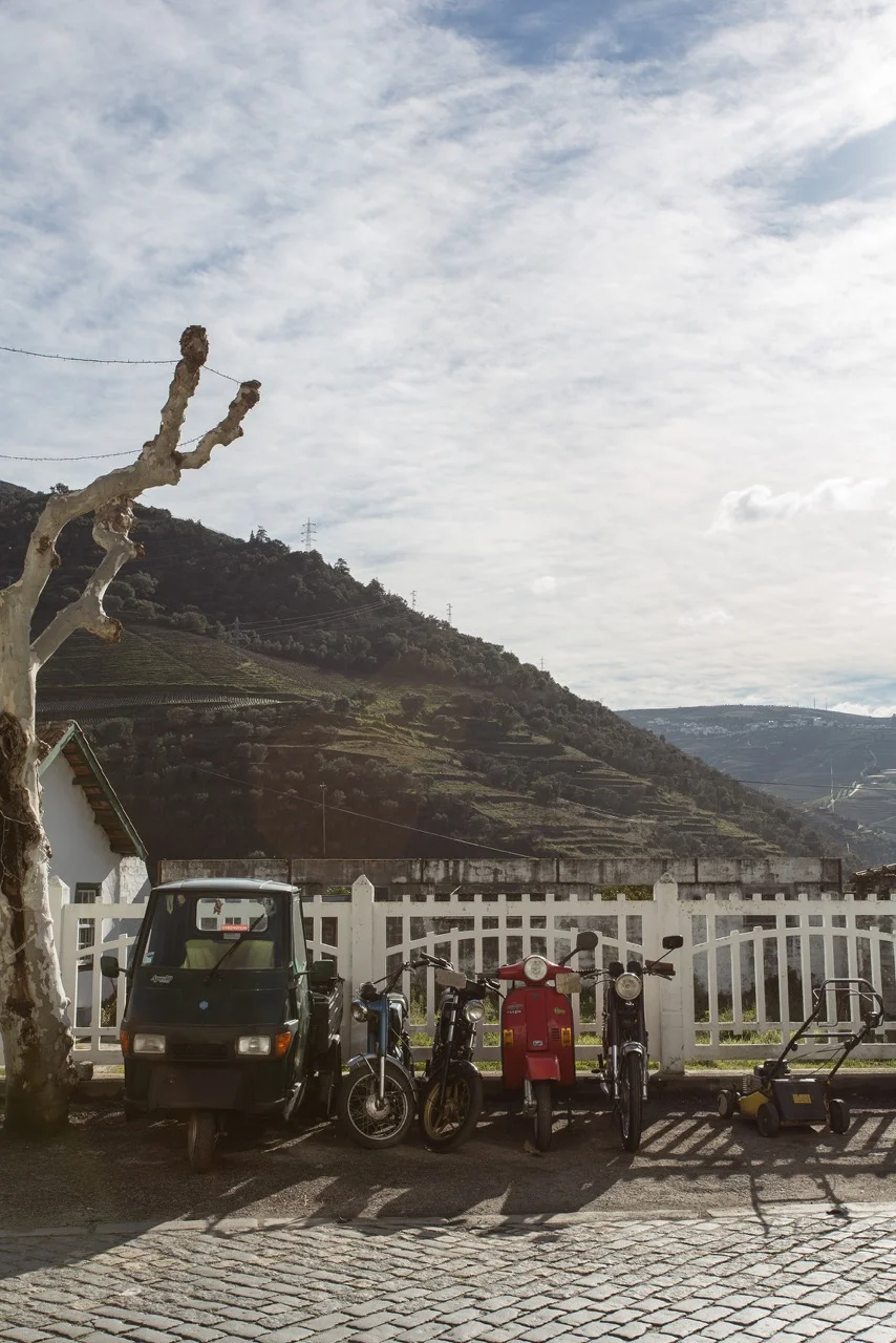 Douro Valley wine tour