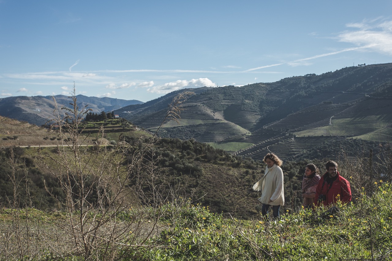 Douro Valley wine tour