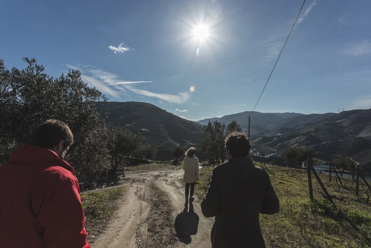 Douro Valley wine tour
