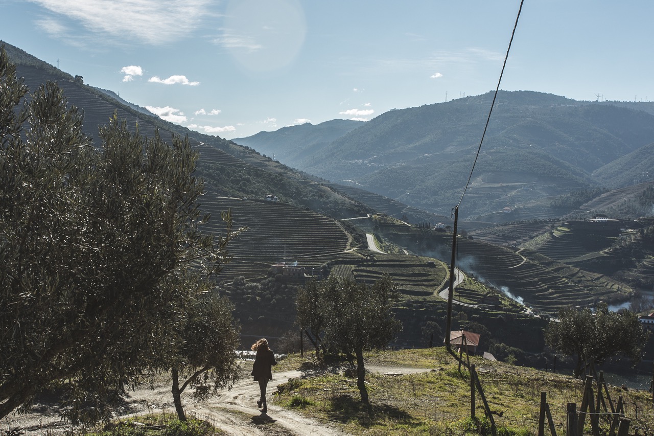 Douro Valley wine tour