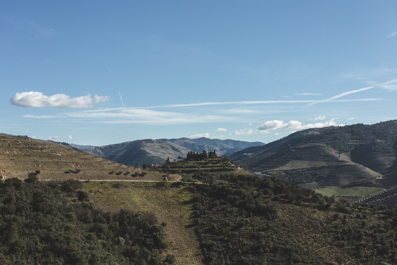 Douro Valley wine tour