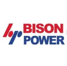 Bison sq.jpg