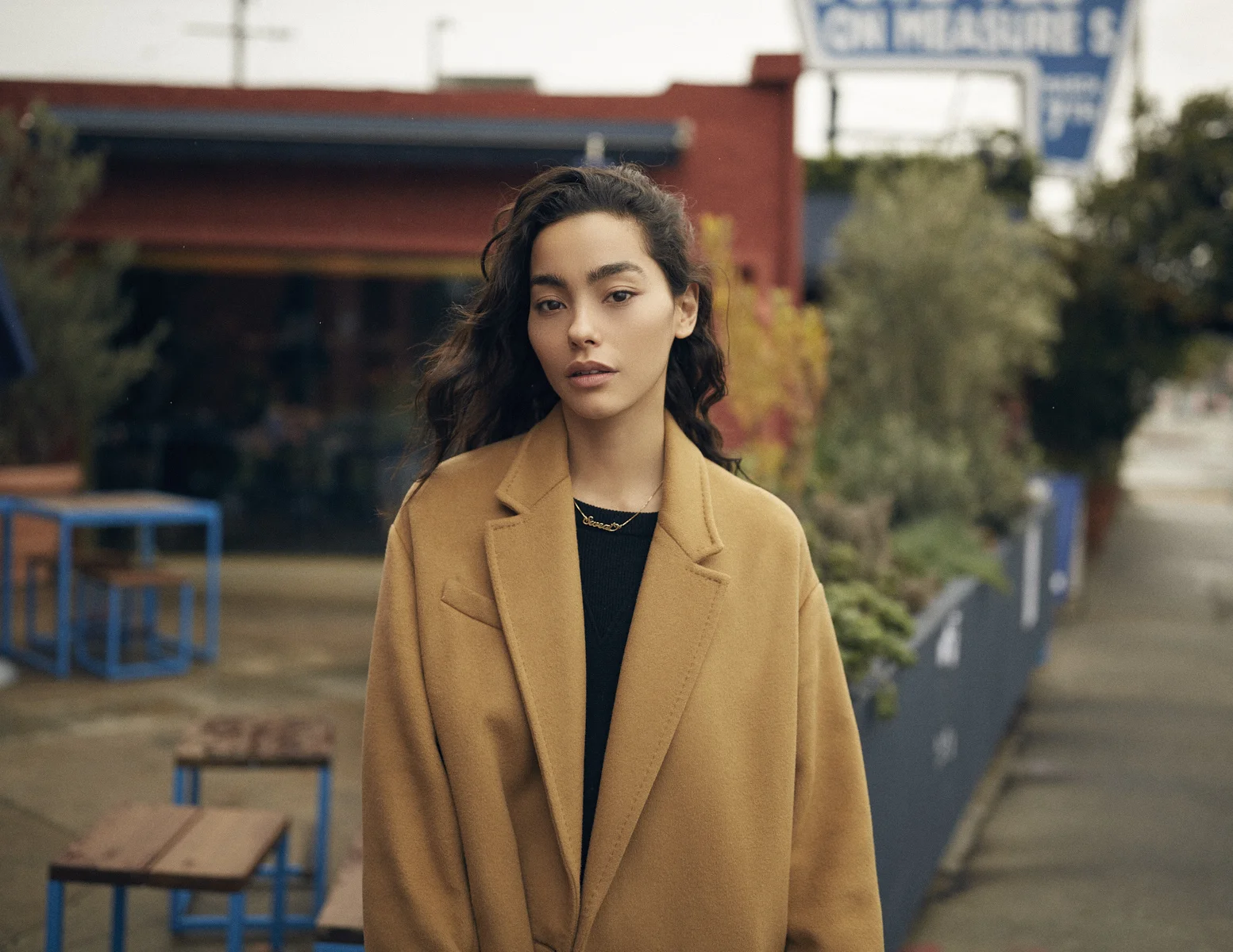 Adrianne Ho