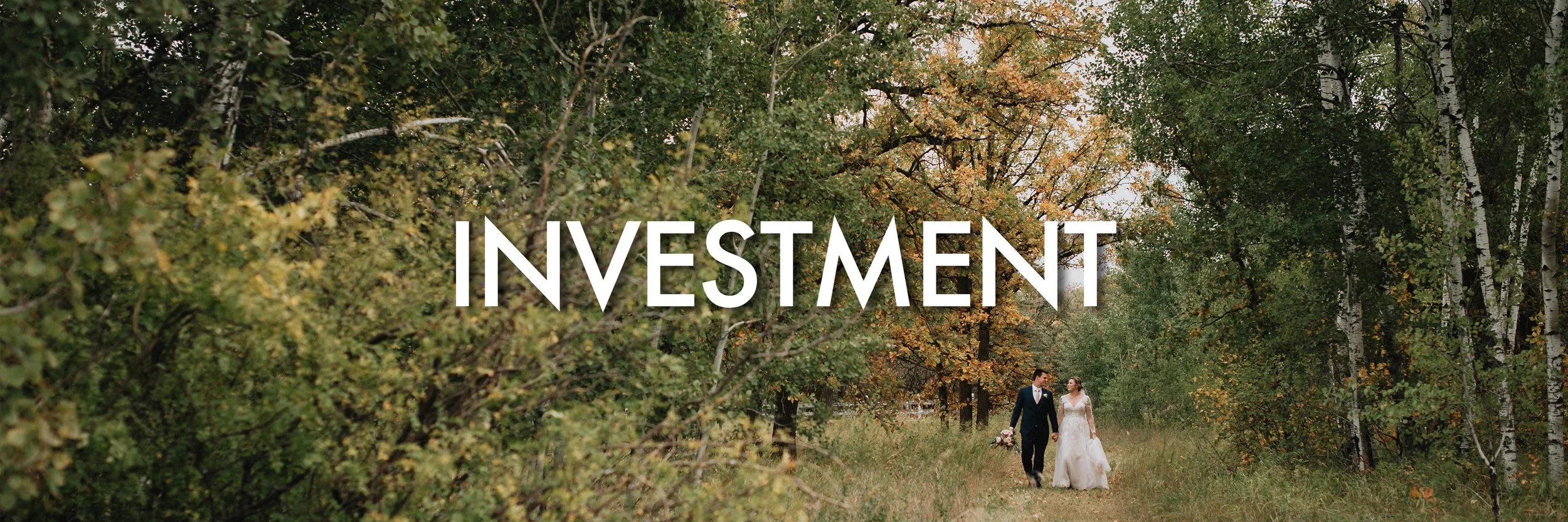 INVESTMENT.jpg