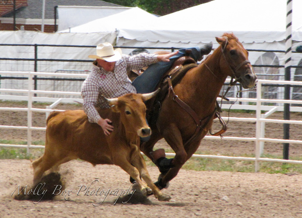 Cheyenne Frontier Days Rodeo