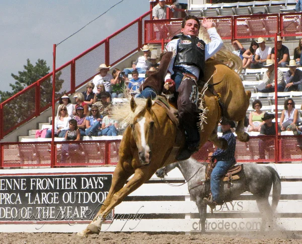 CFD Rodeo