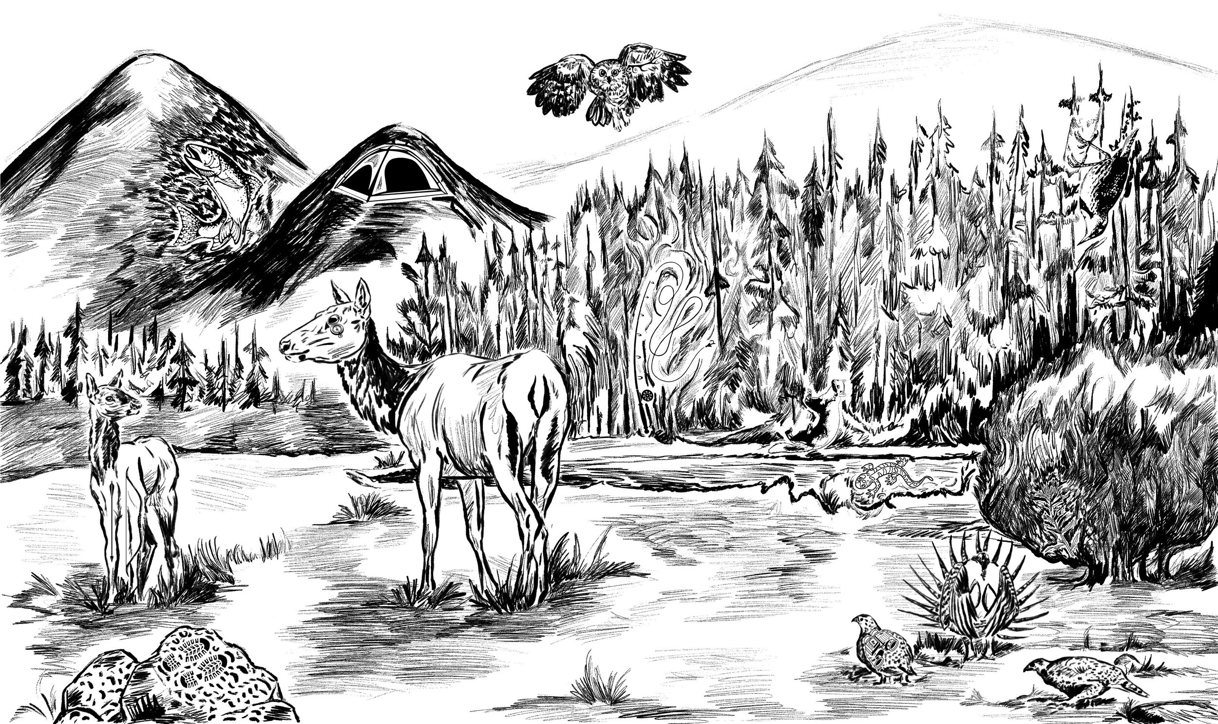 WY Game & Fish Hidden Pictures Puzzle/Coloring Page (Copy)