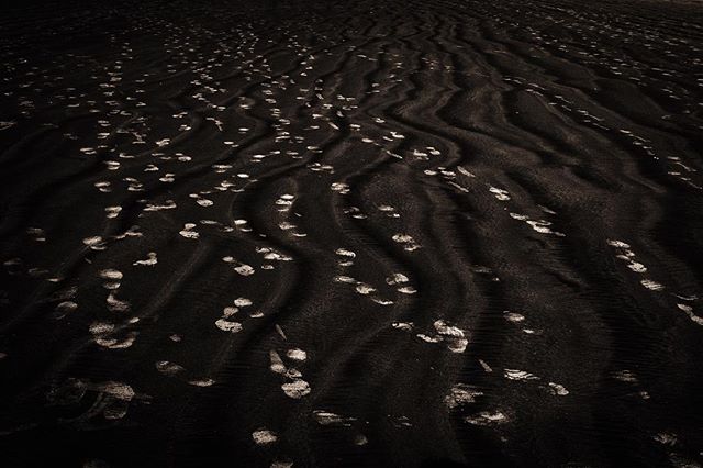 #BW #bnw #blacknwhite#blackandwhite #blackandwhitephoto#bnwphotography #blackandwhitephotography #morrobay #morrobaybeach #beach #footprints #path