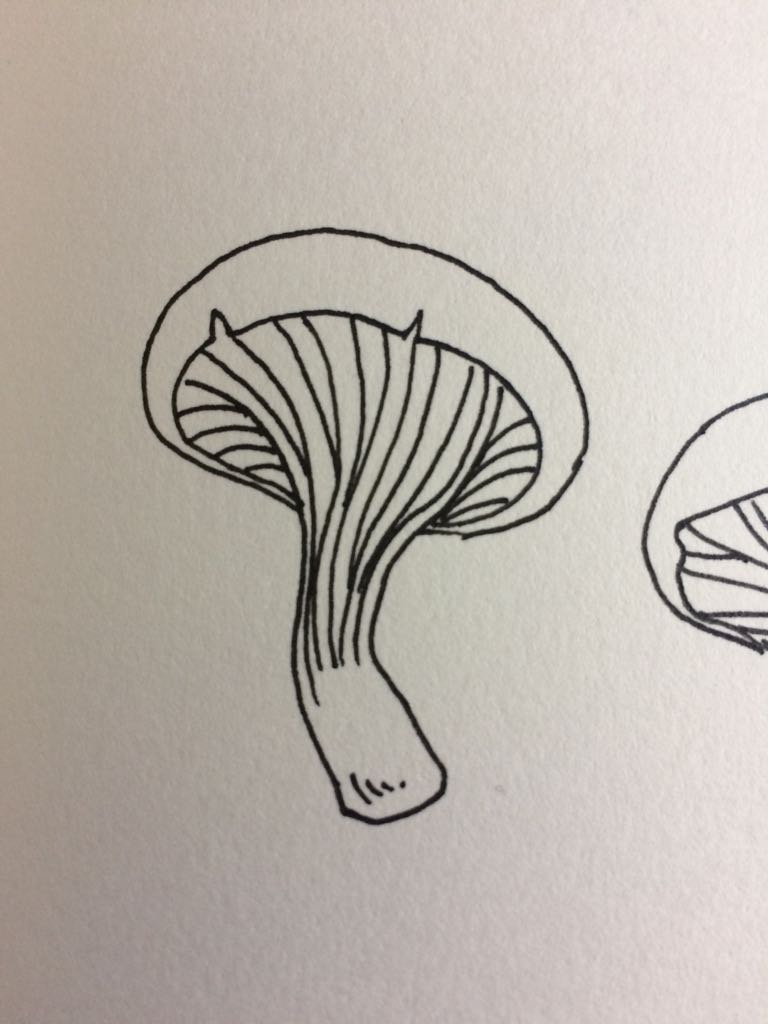 WhatsApp Image 2018-02-06 at 22.16.29 (1).jpeg