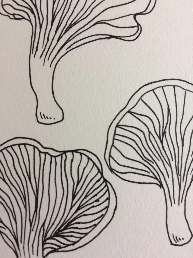 WhatsApp Image 2018-02-06 at 22.16.29 (3).jpeg