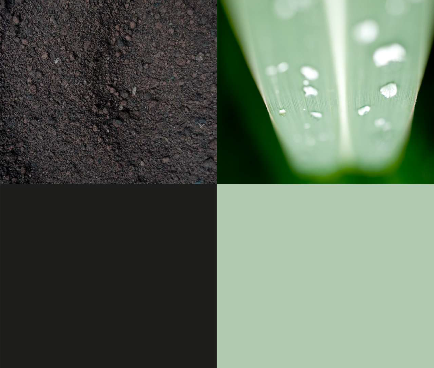 AMOKI_Paleta-02-01.png
