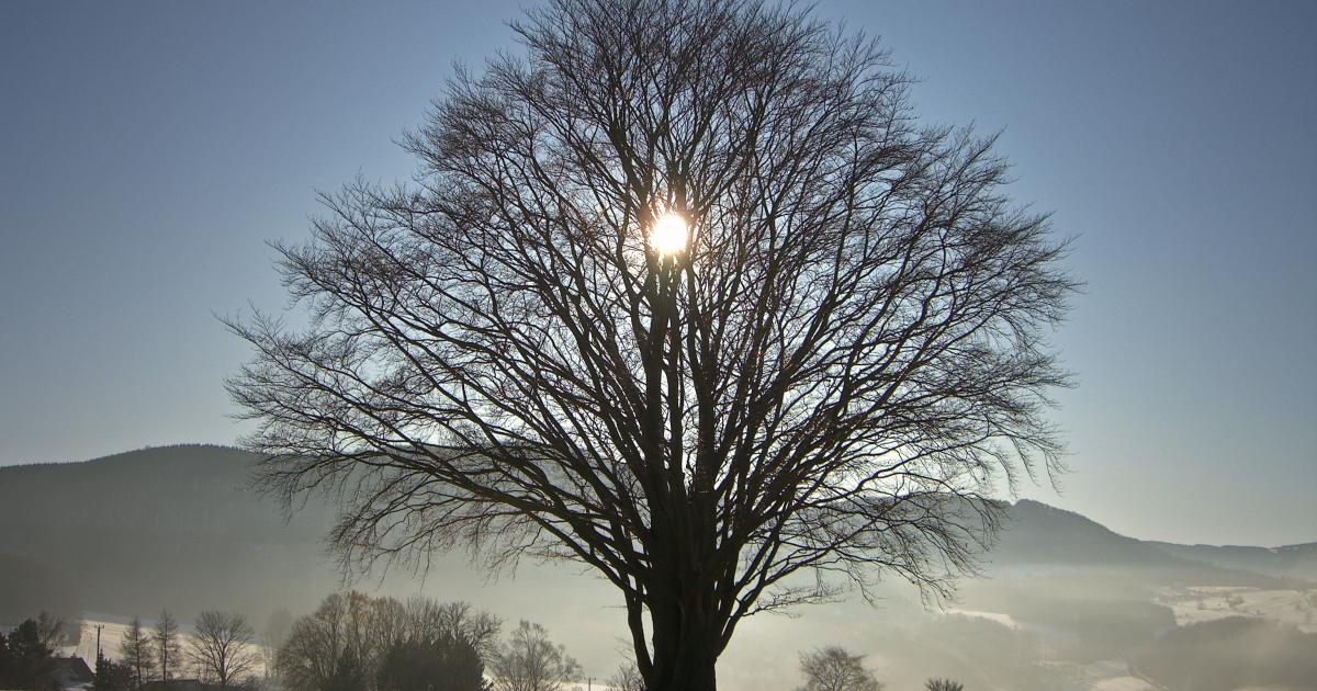 Calling Forth the Light:: A Winter Solstice Day Retreat