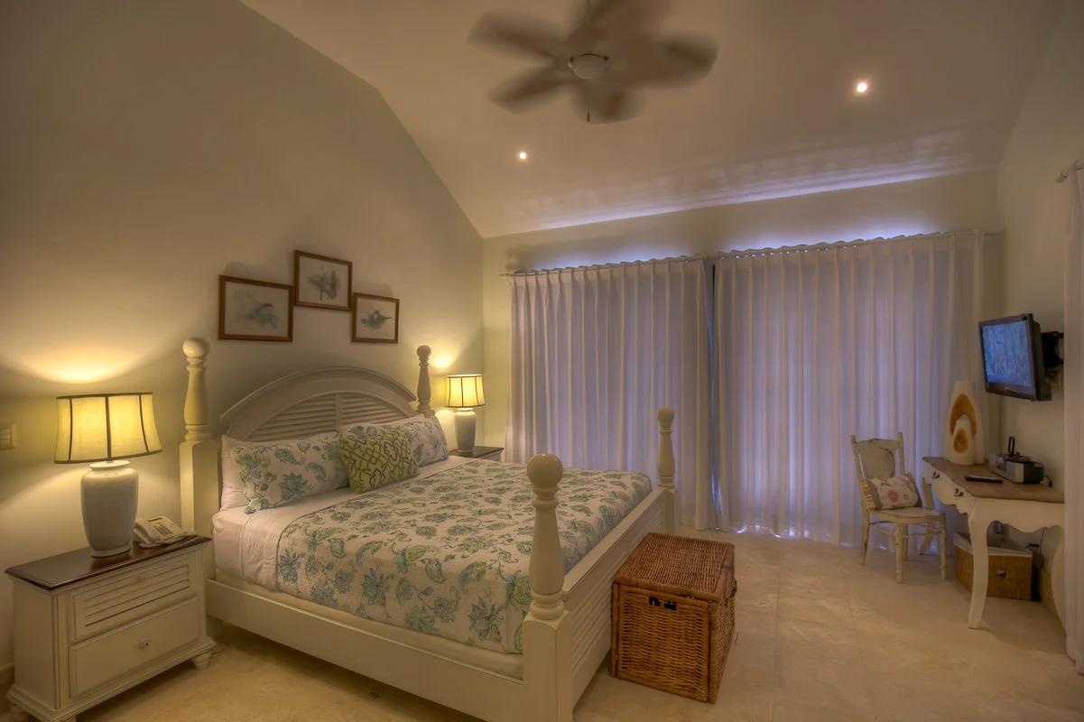  1 King Bed 