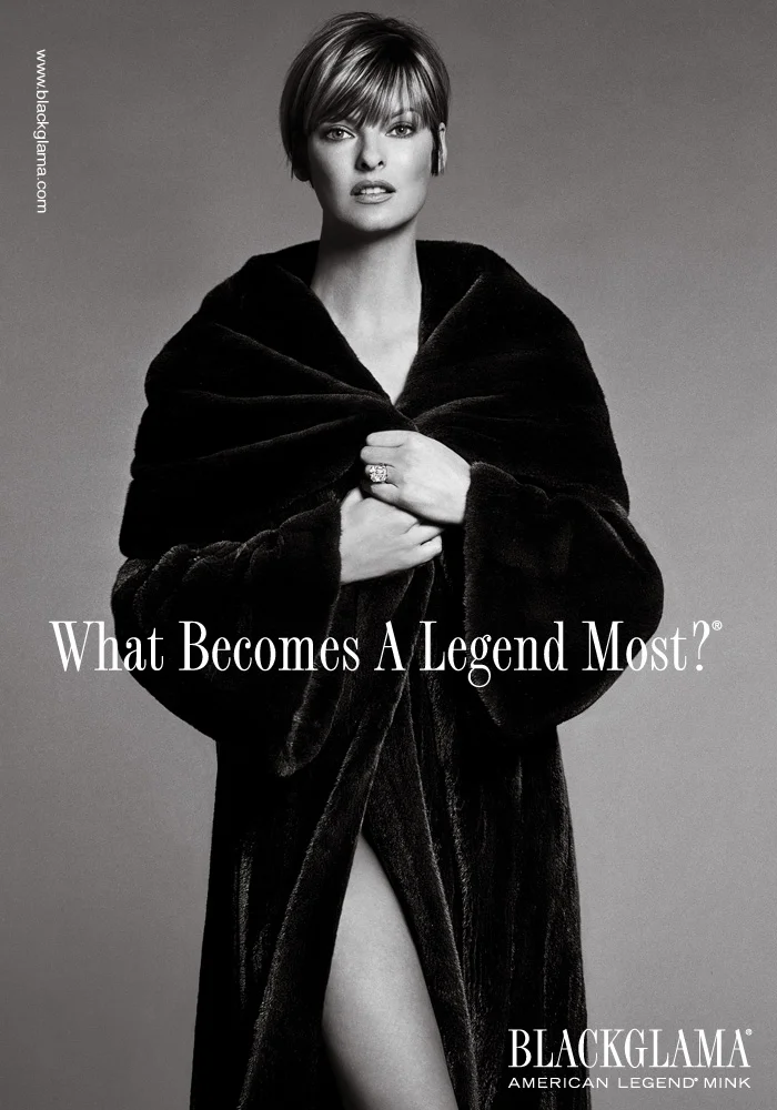 LINDA EVANGELISTA
