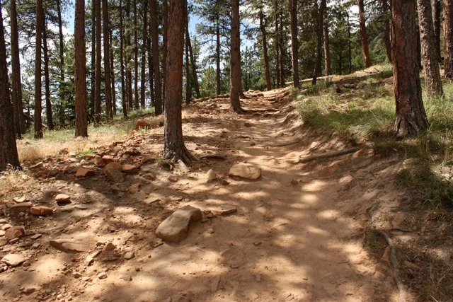 In the Midst of Chaos