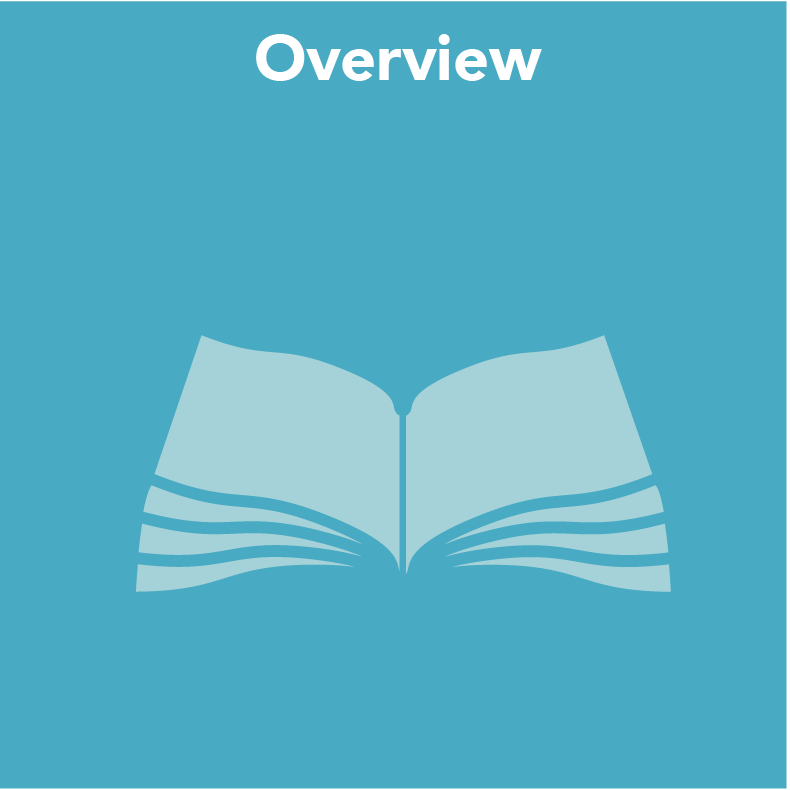   Overview