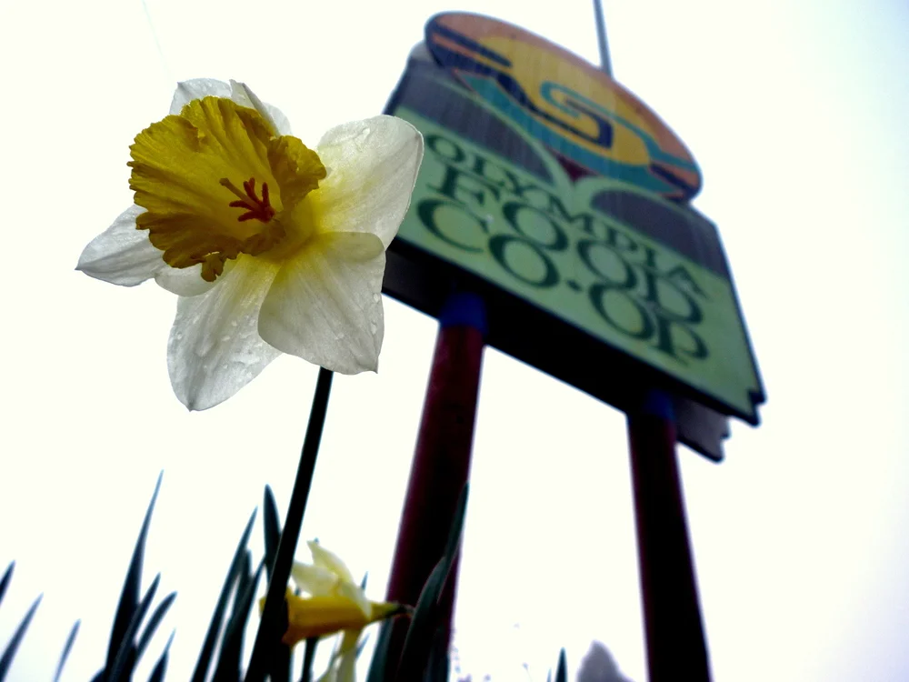 Olympia Food Co-Op: Court Dismisses anti-Boycott Lawsuit 