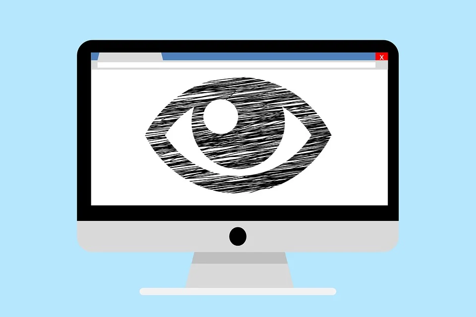 surveillance.jpg