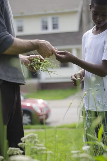 VISION AND VEGETABLES