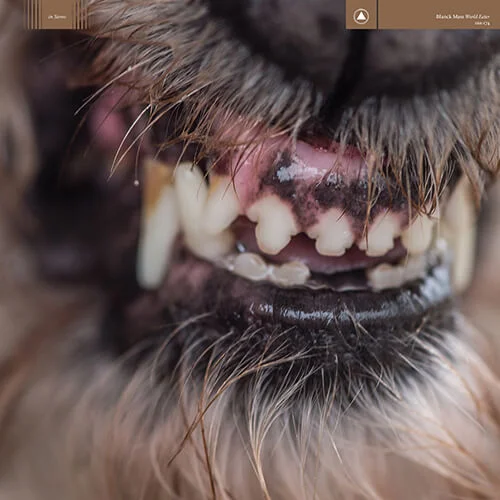Blanck Mass - Please [2017, Sacred Bones]