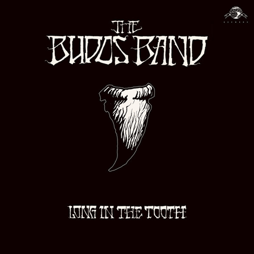 4. The-Budos-Band---Dusterado---Long-In-The-Tooth-[2020,-Daptone]-500px