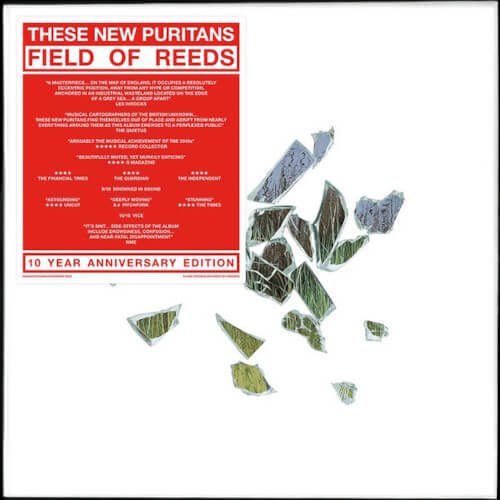 5. These New Puritans - Organ Eternal [2023 Re, Infectious]