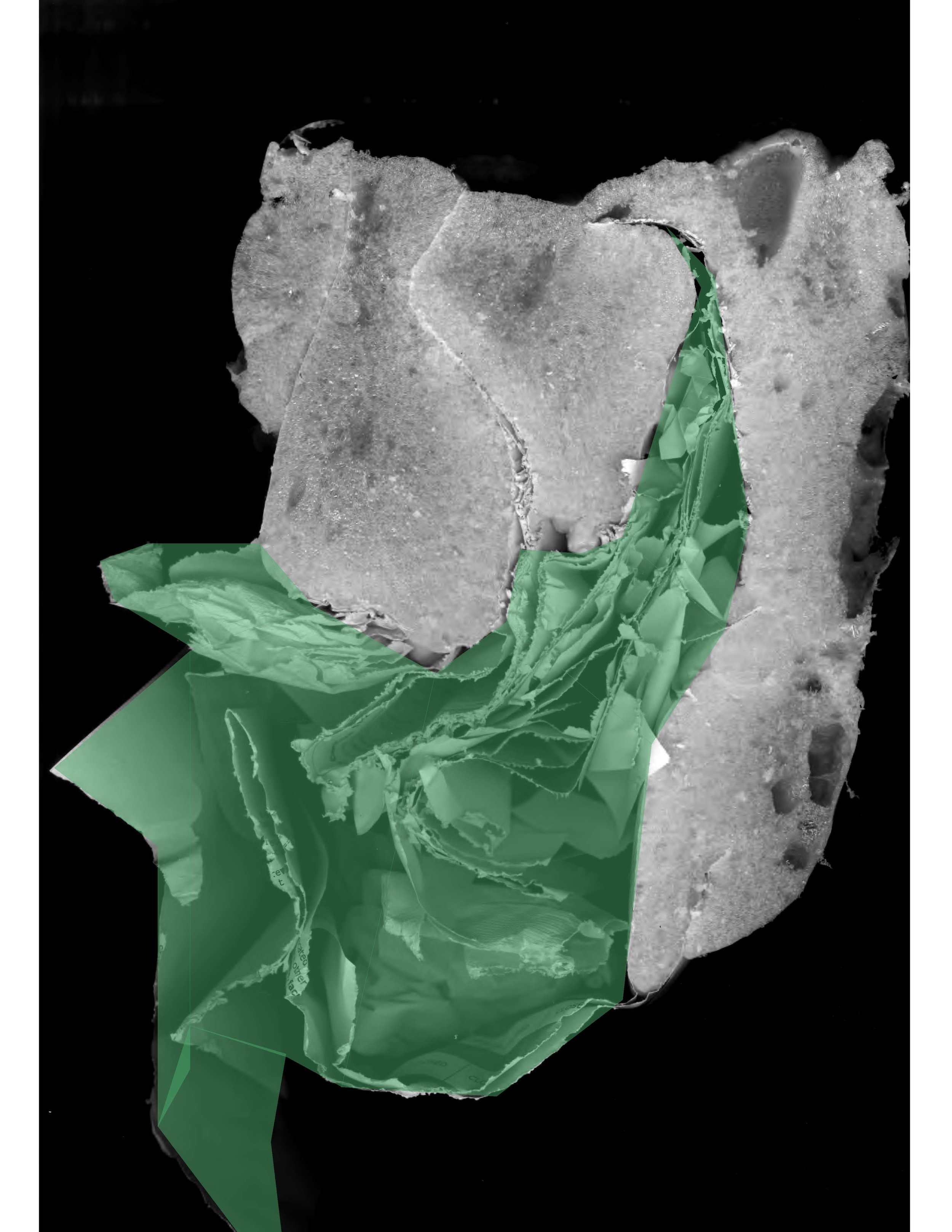 foam - paper cut1 OL (2).jpg