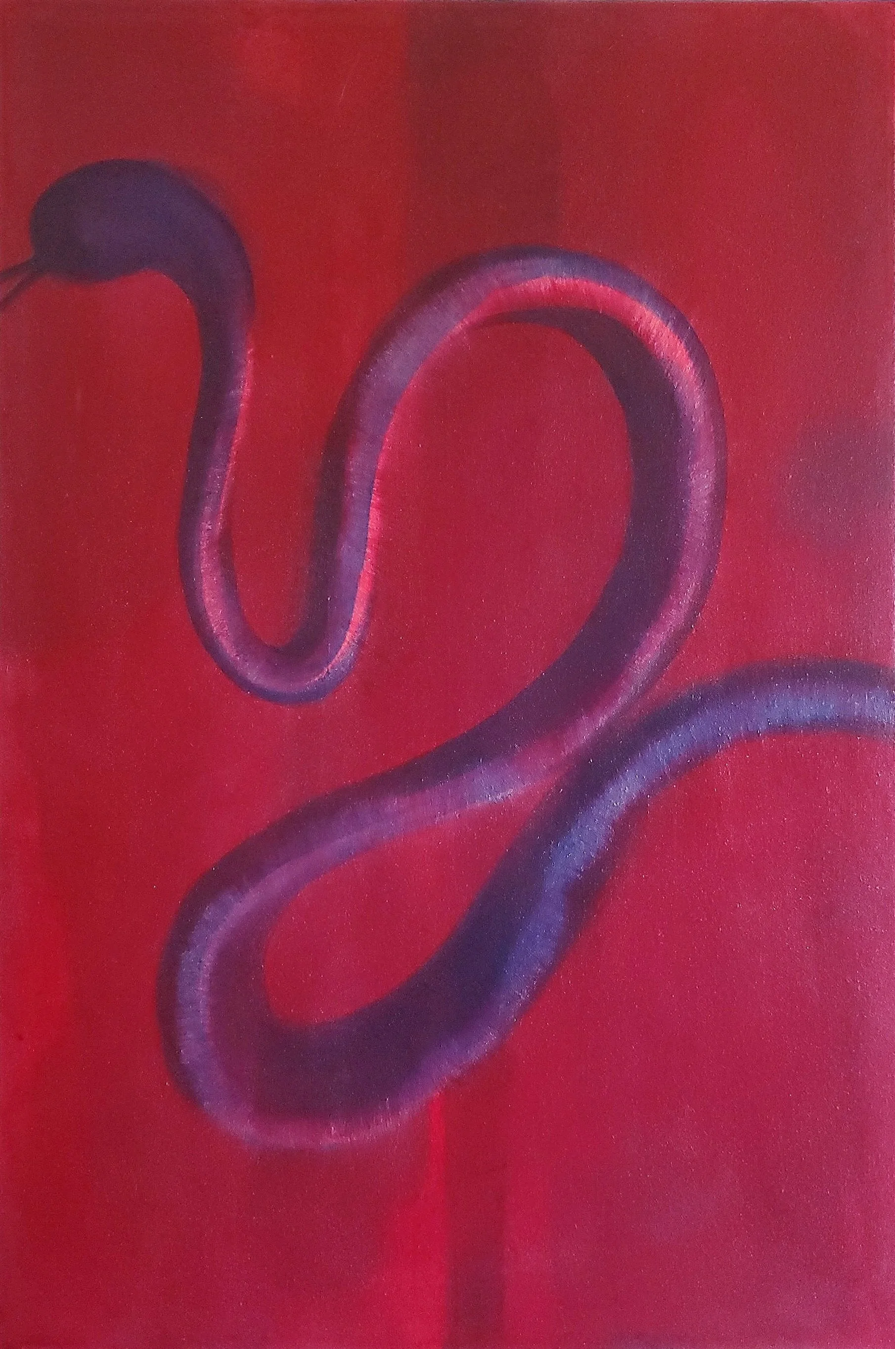 Snake in the House 