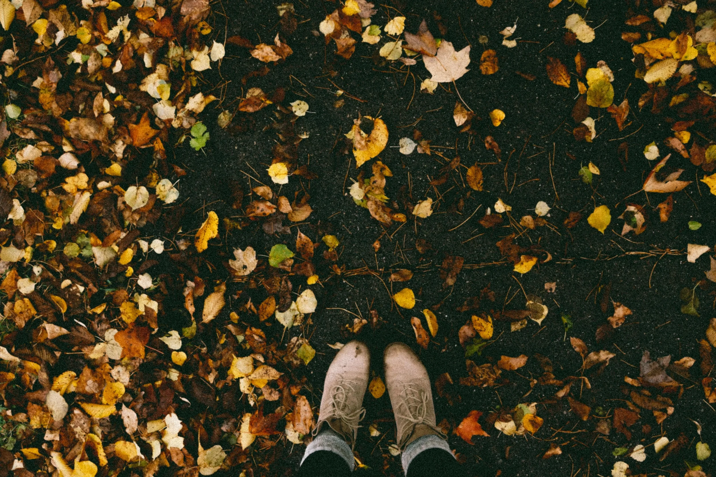 Free People Dress | Urban Outfitters White Lace Sweater | Free People Leather Jacket | Bull Boxer Boots | Madewell Purse