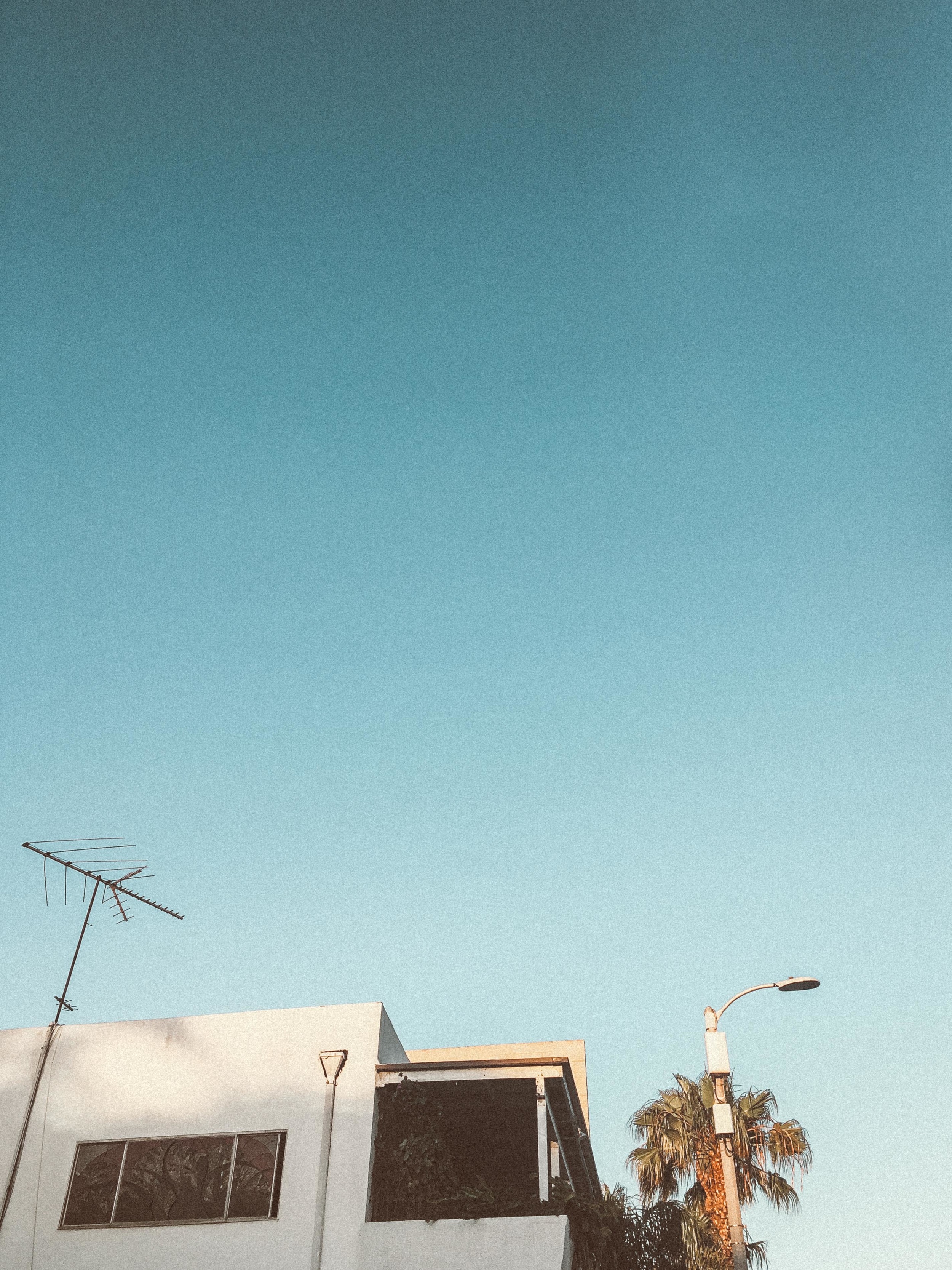 While I painted tote bags, this was the view to my right. The lines of California are glorious.