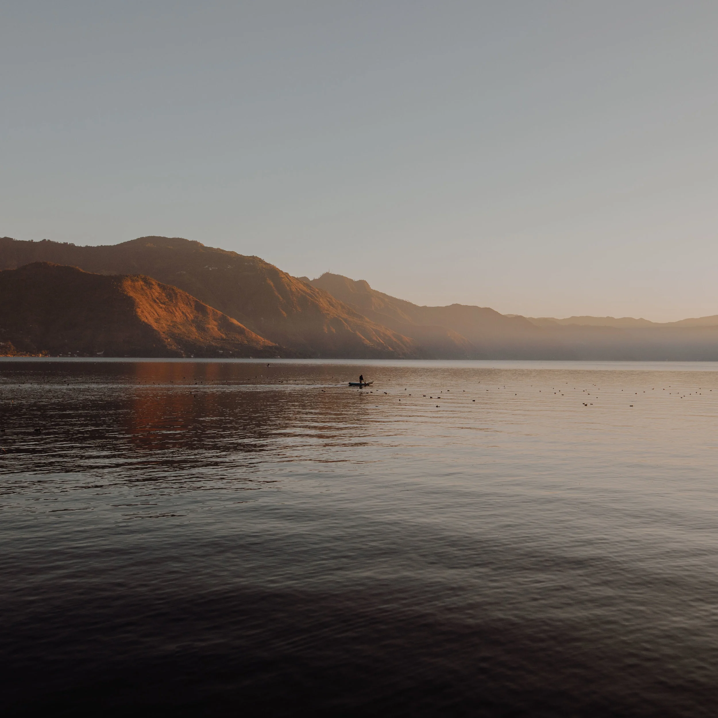 woke up to watch the sunrise at the lake. those tiny black dots are ducks.