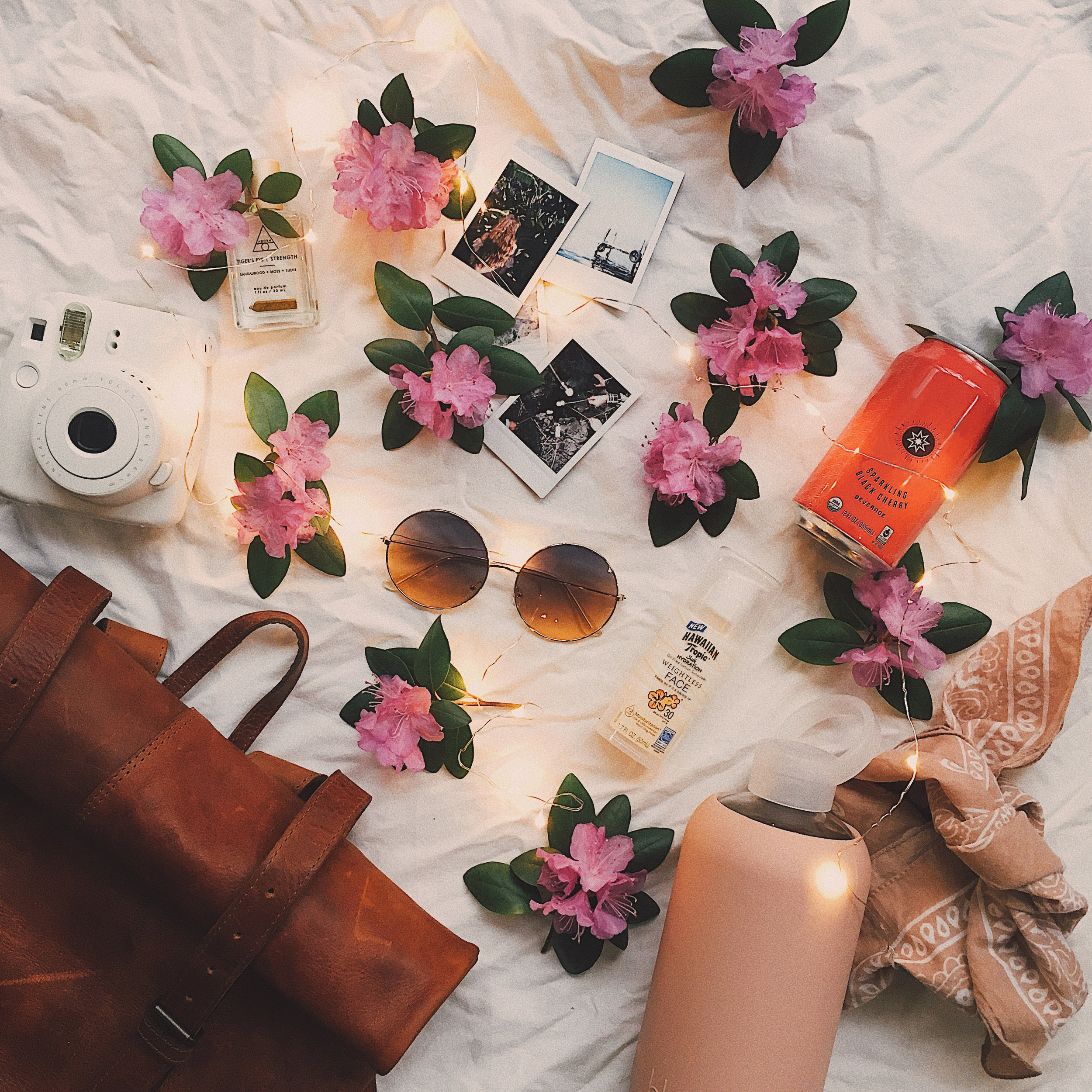 PLUMERIA + ALOE SUNCARE