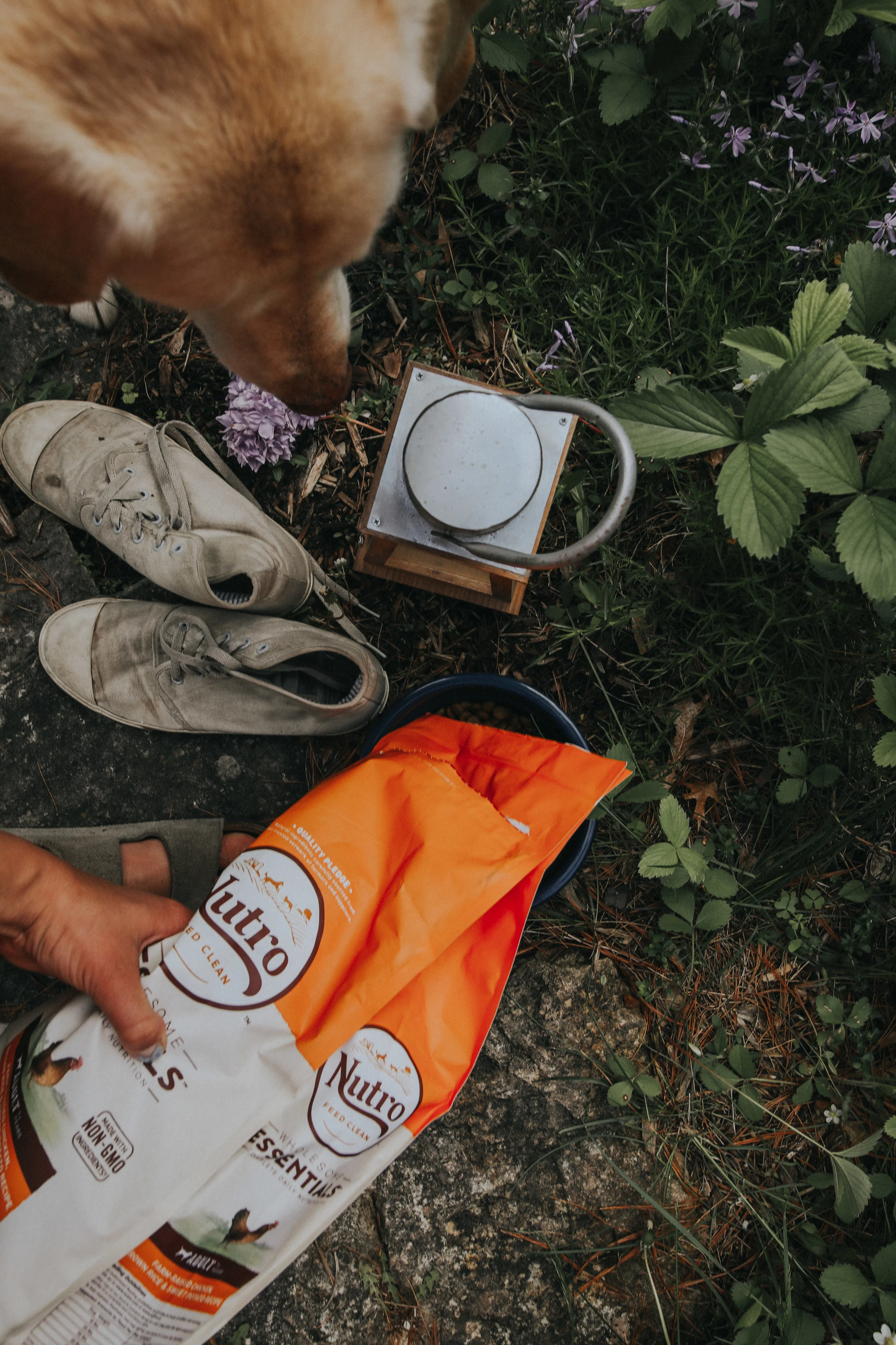 AMONG THE PINES WITH NUTRO™