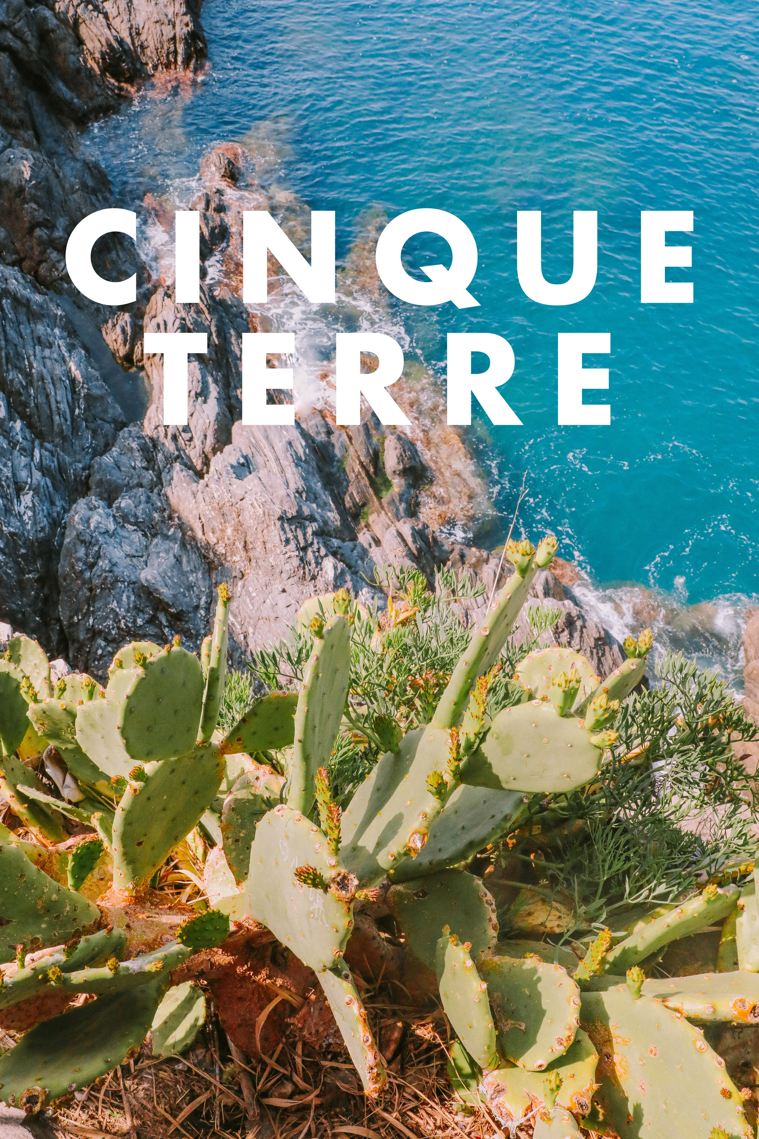 cinque cover.jpg