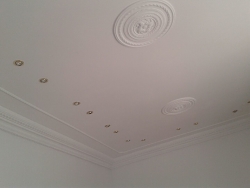 Col·locació i decoració de perfils arquitectònics